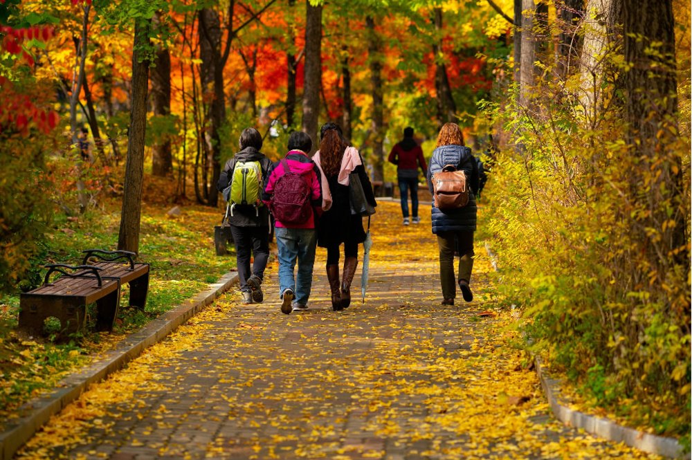 friends strolling in the park