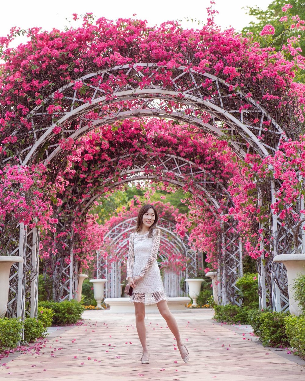酒店的花園隧道會在不同季節種植不同的花朵,亦是拍照打卡的好地點。 (Instagram @fai.lok.mode)