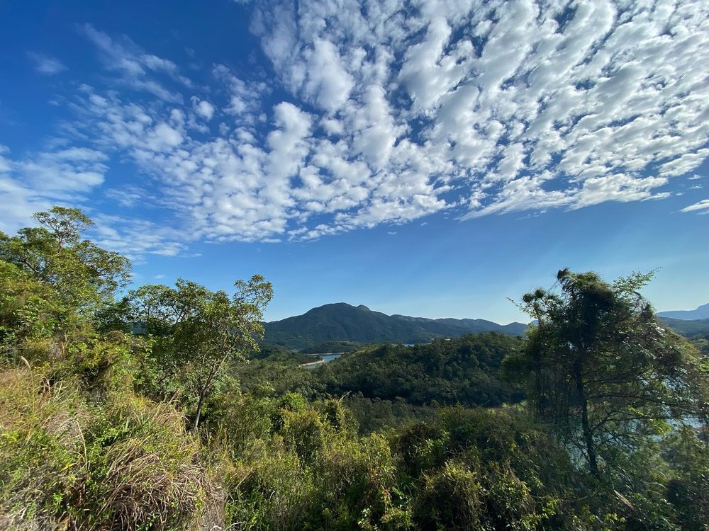 大欖涌水塘一帶屬麥里浩徑第10段,沿路行山指示清晰。(Instagram @lokahei0503)