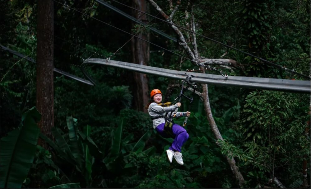 Girl having fun while riding zipline