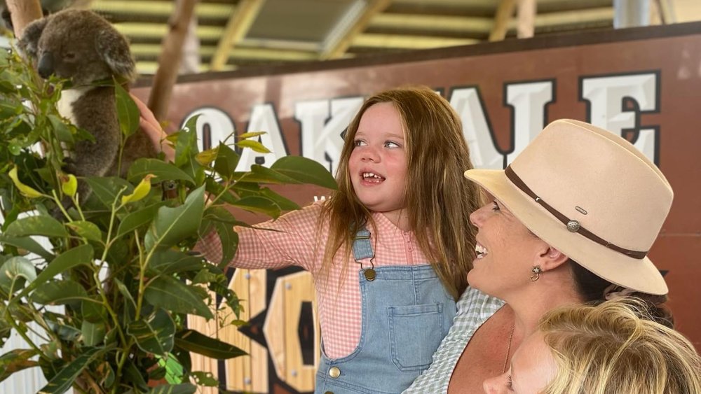 Spend some koala-ity time with adorable animals at Oakvale. Image credit: @ali_lee_cooke