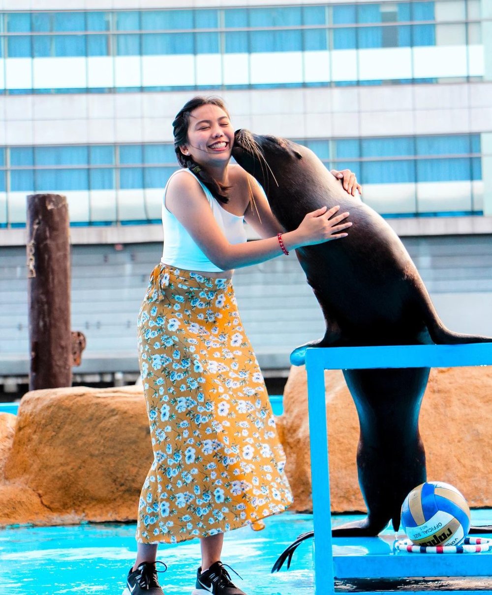 Sea lion kissing a girl