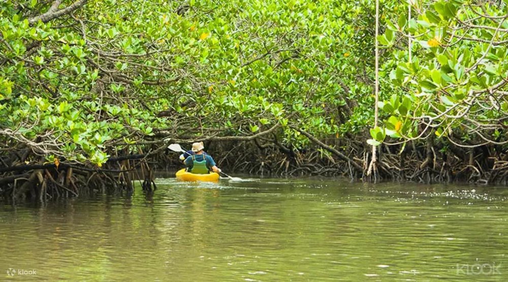 hoat-dong-du-lich-singapore-ngoai-troi