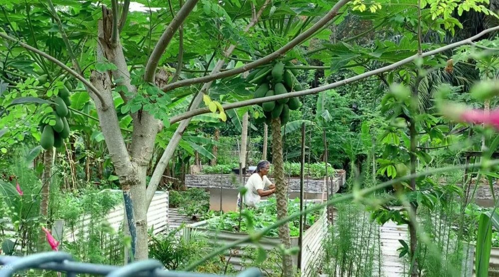 Công Viên Bishan-Ang Mo Kio