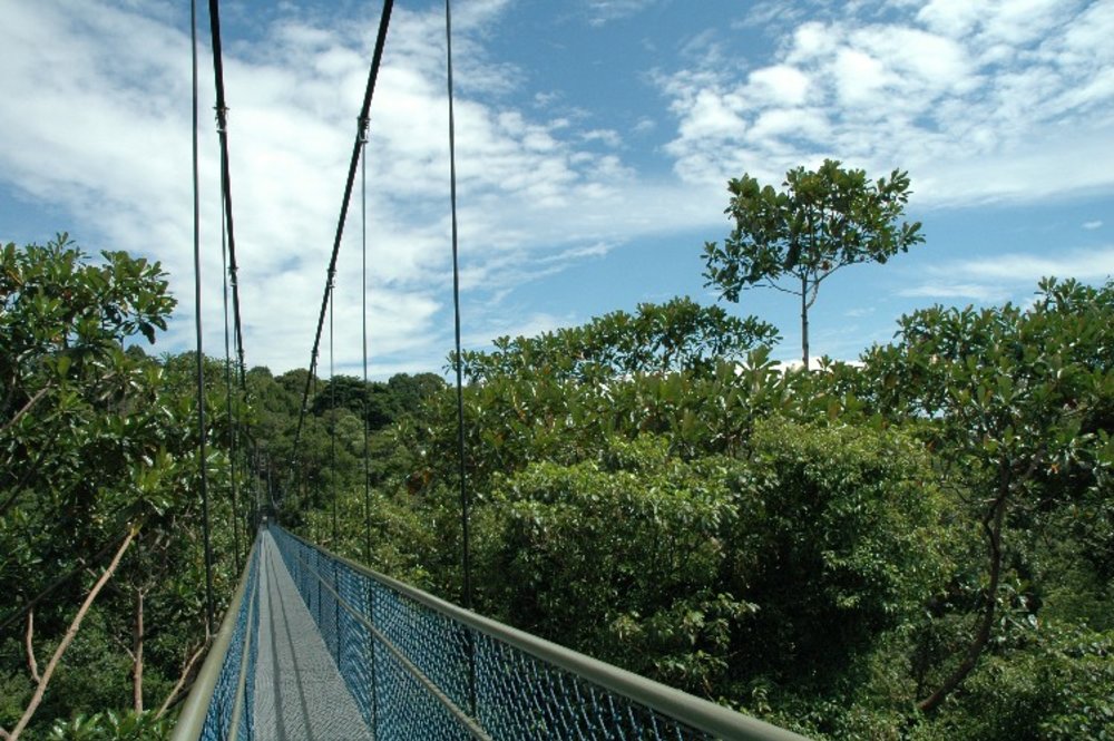 Công Viên Hồ MacRitchie