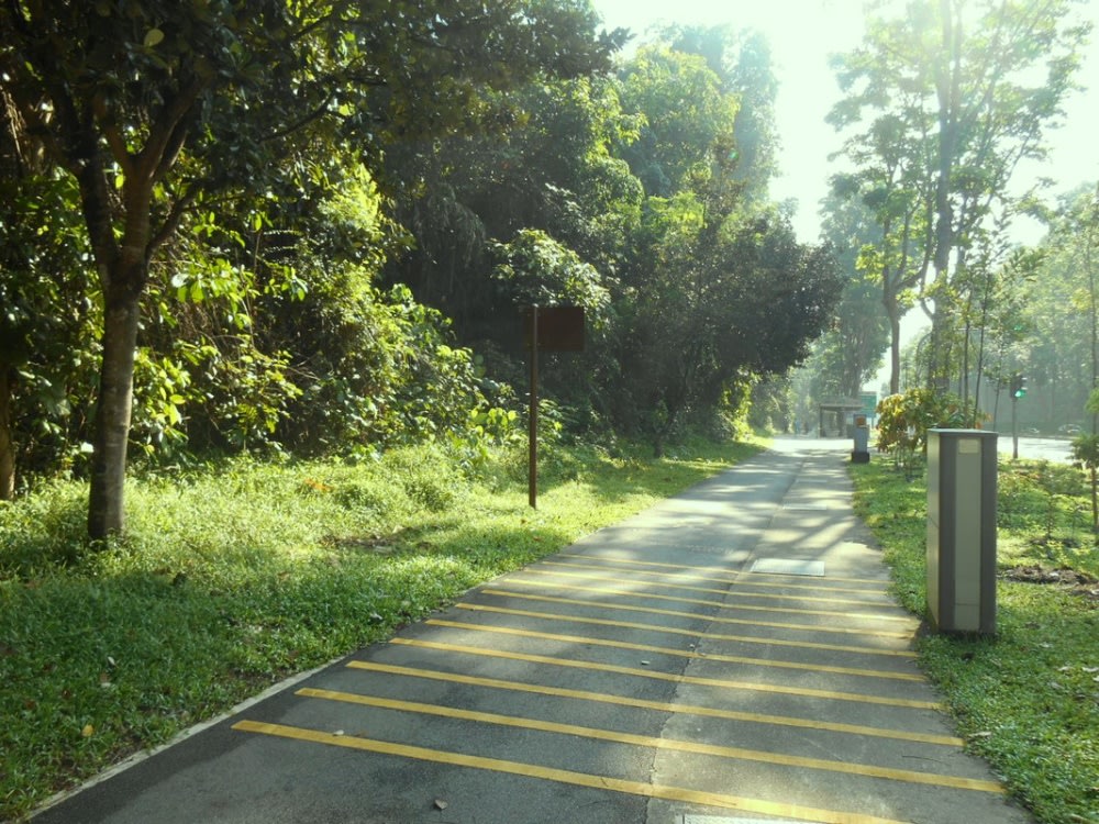 Khu Dự Trữ Sinh Quyển Bukit Timah