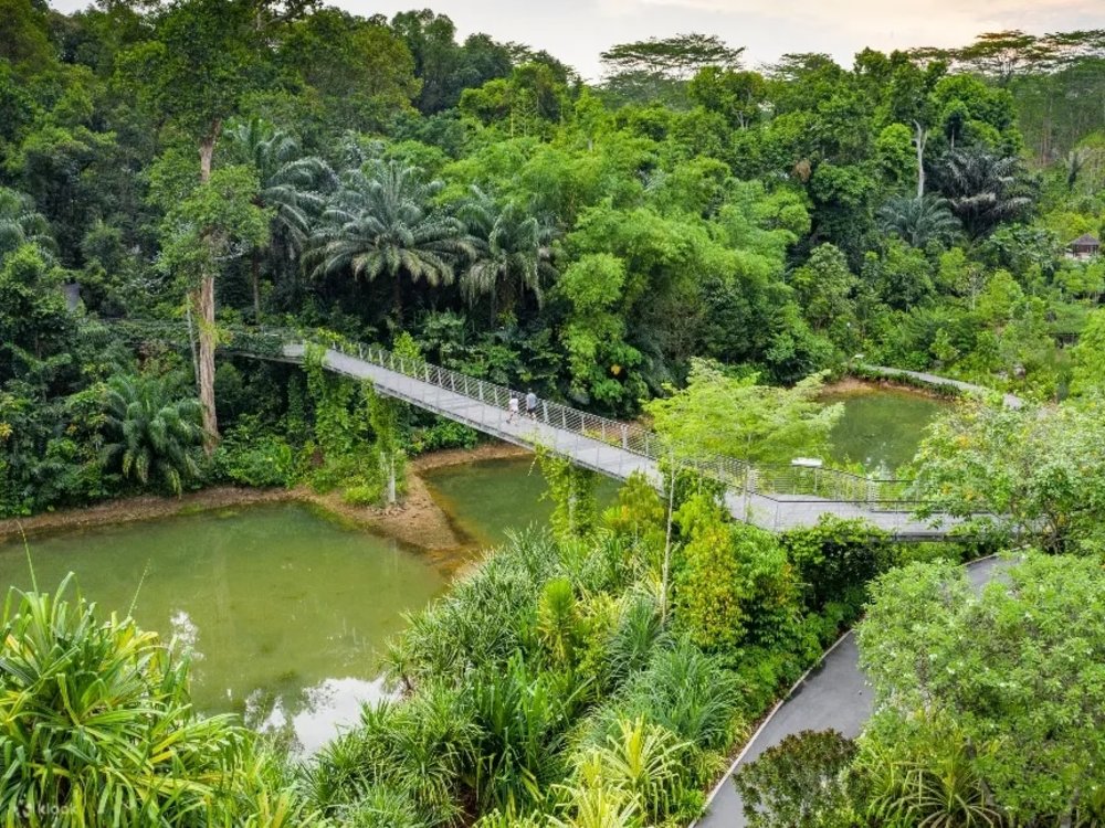 Khu Dự Trữ Rừng The Learning Forest
