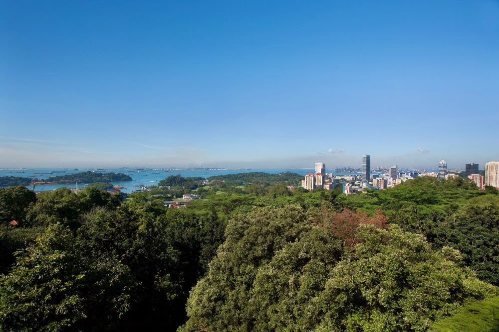 Công Viên Núi Faber