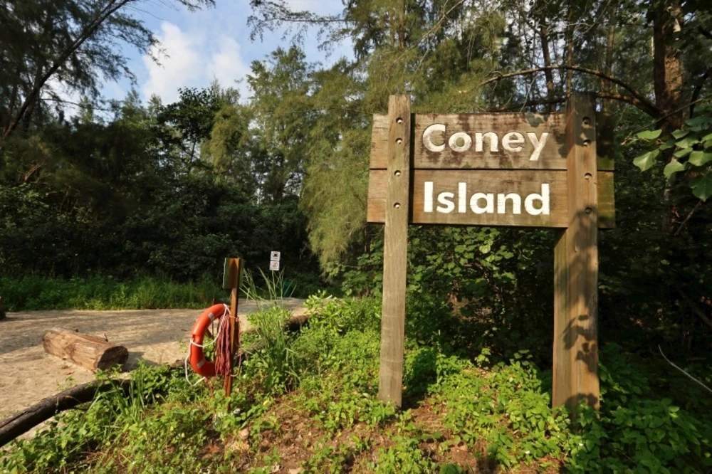 Đảo Coney (Đảo Serangoon)