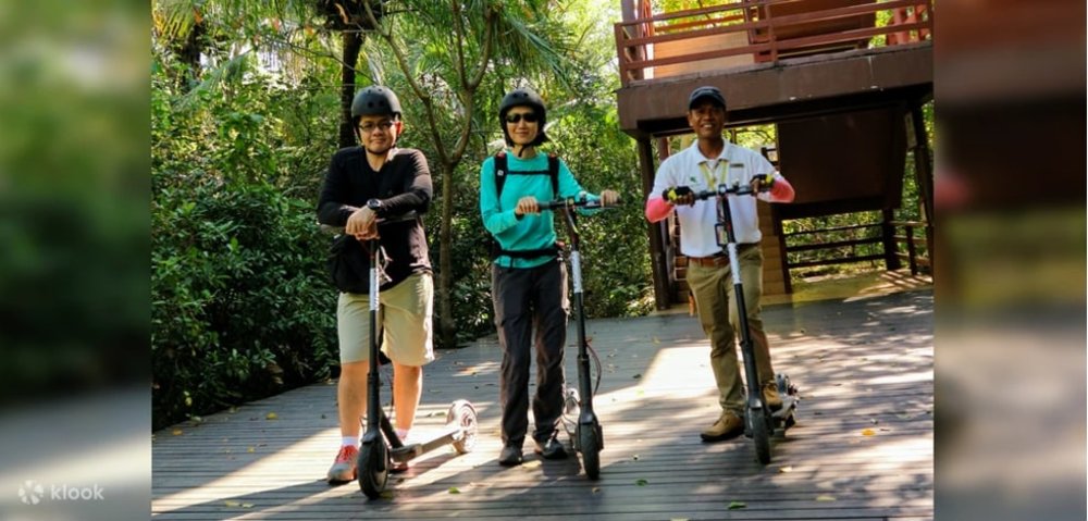 3 people in a scooter