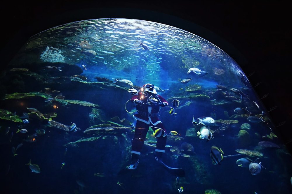 A diver wearing santa claus costume