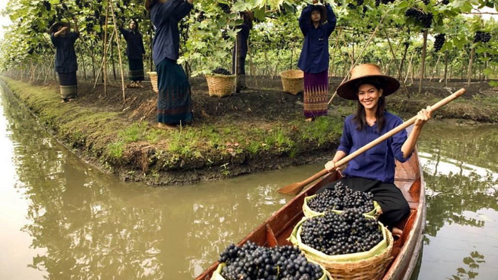 Here’s another experience only you can find in Thailand! Image credits: @demi_cassiani on Instagram