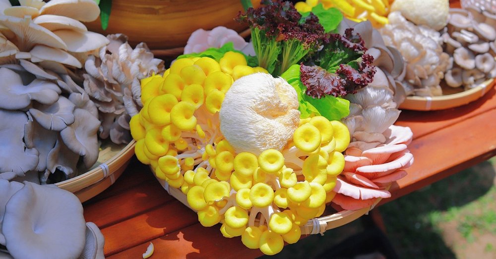 Nên Ăn Gì Ở Làng Nấm Đà Lạt?