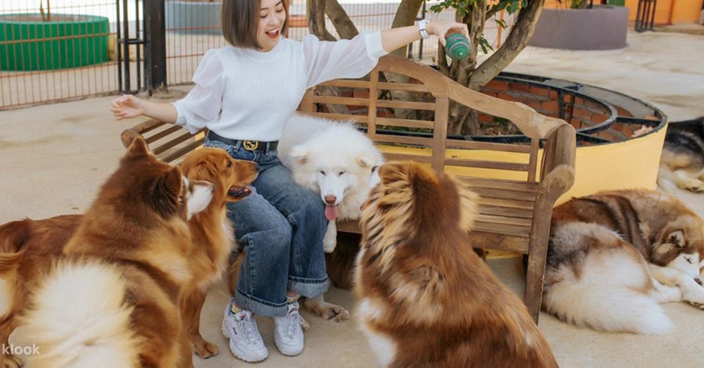 Các Địa Điểm Du Lịch Gần Làng Nấm Đà Lạt Đừng Bỏ Lỡ