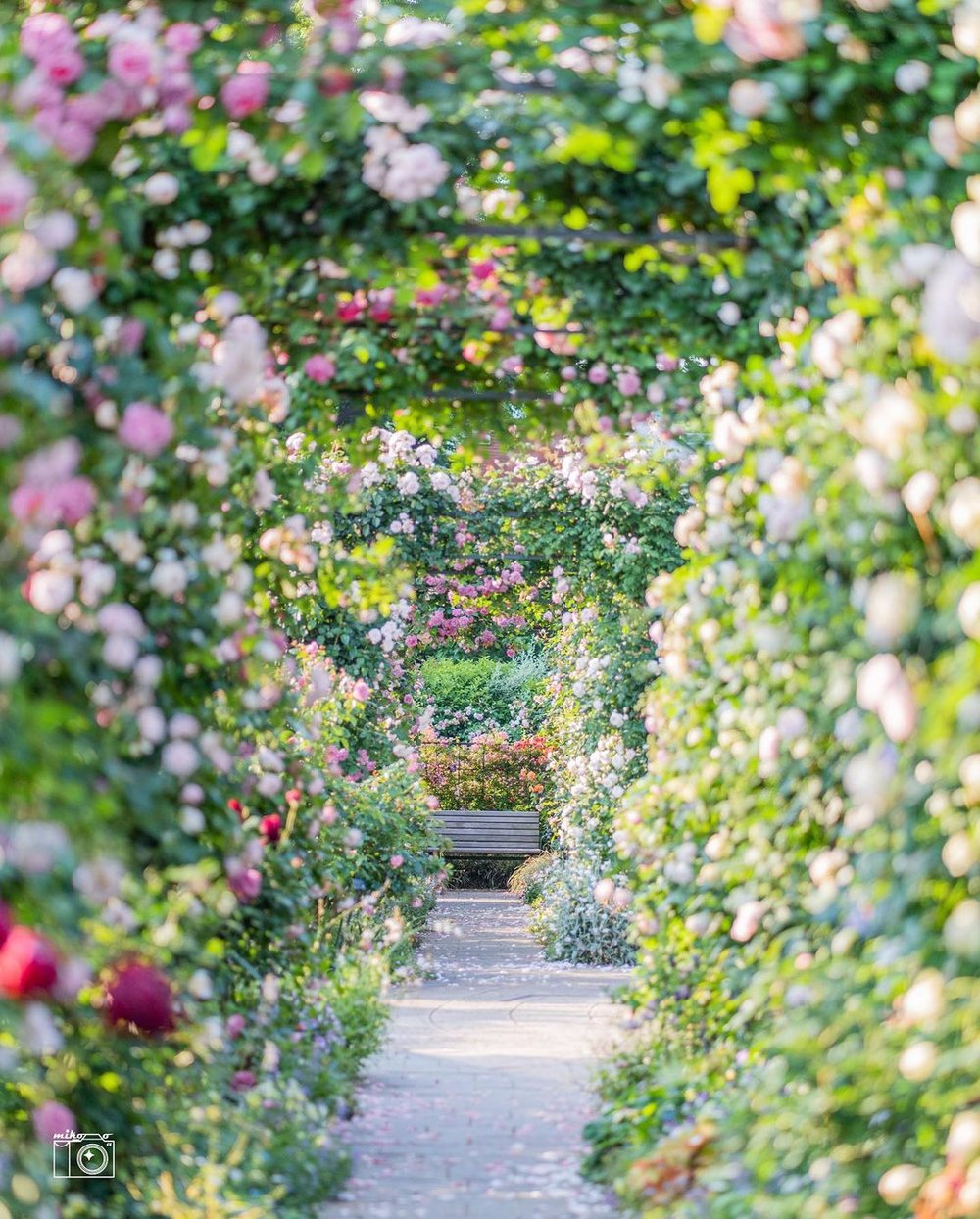 港の見える丘公園