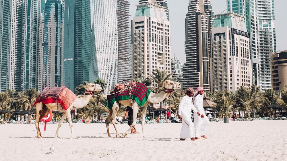 The city skyline of Dubai interspersed with Sandy beaches and palms make quite the picturesque view