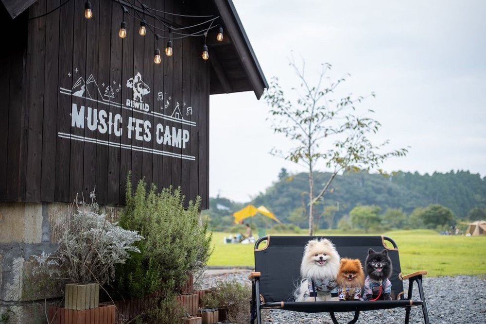 REWILD MUSIC FES CAMPと犬