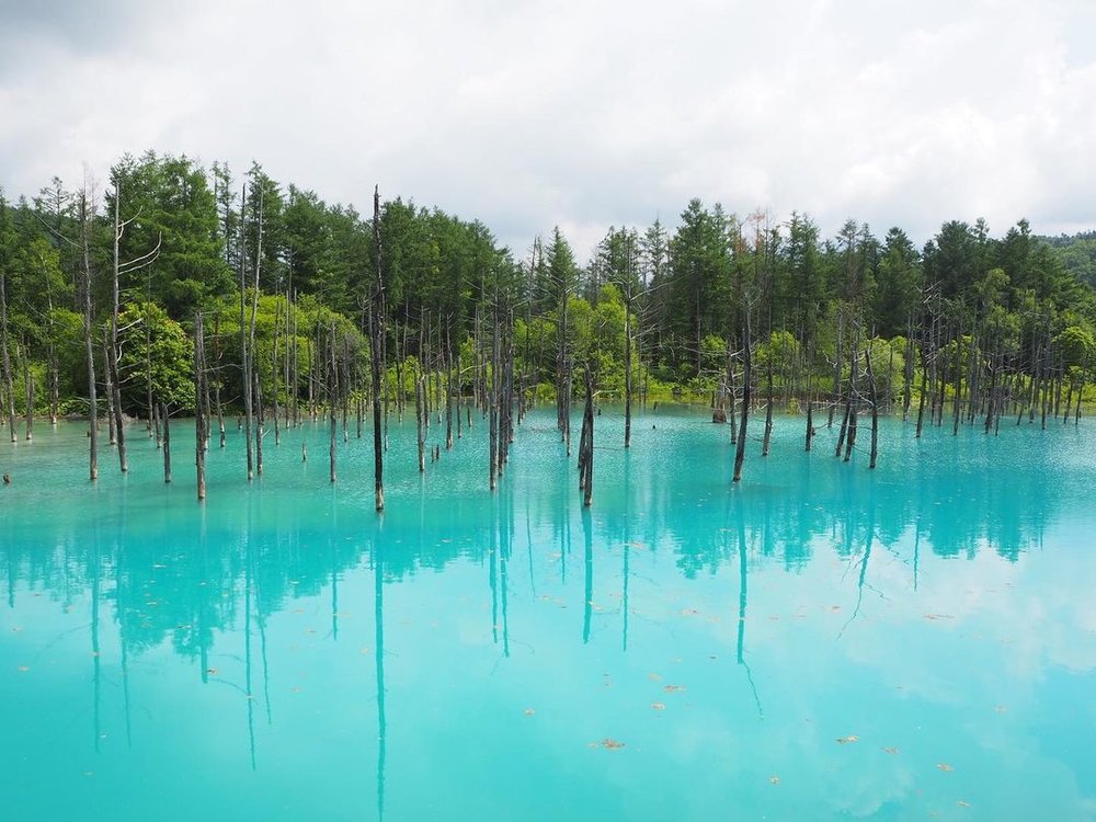 北海道　青い池（美瑛町）
