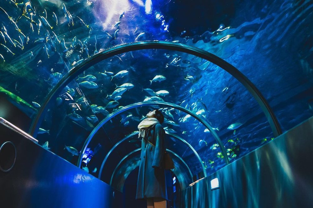 北海道　登別マリンパークニクス（登別市）