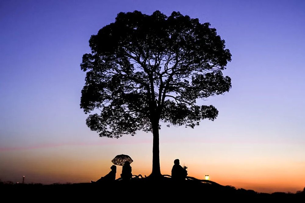 名古屋　遊ぶところ大高緑地