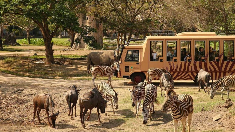 Go from sandy beach to an African safari in Bali!