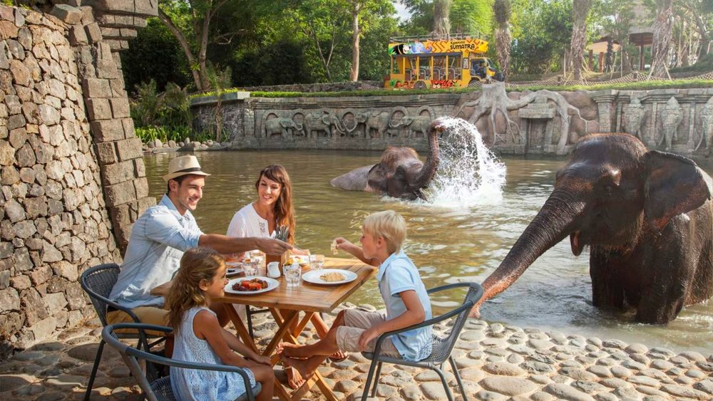 Have a one-of-a-kind experience having breakfast with the wildlife at Bali Zoo