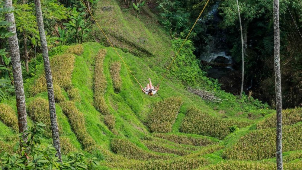 Experience a unique way of sightseeing on a giant Bali swing!