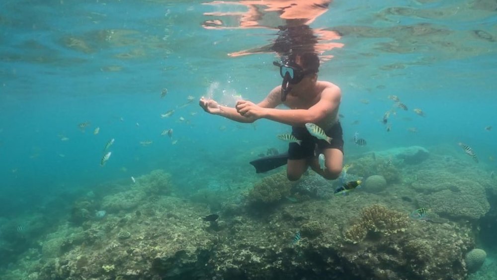 Blue Lagoon is a haven for untouched coral reefs and exotic underwater life, making it a famous snorkelling destination. Credits: @alditude on Instagram