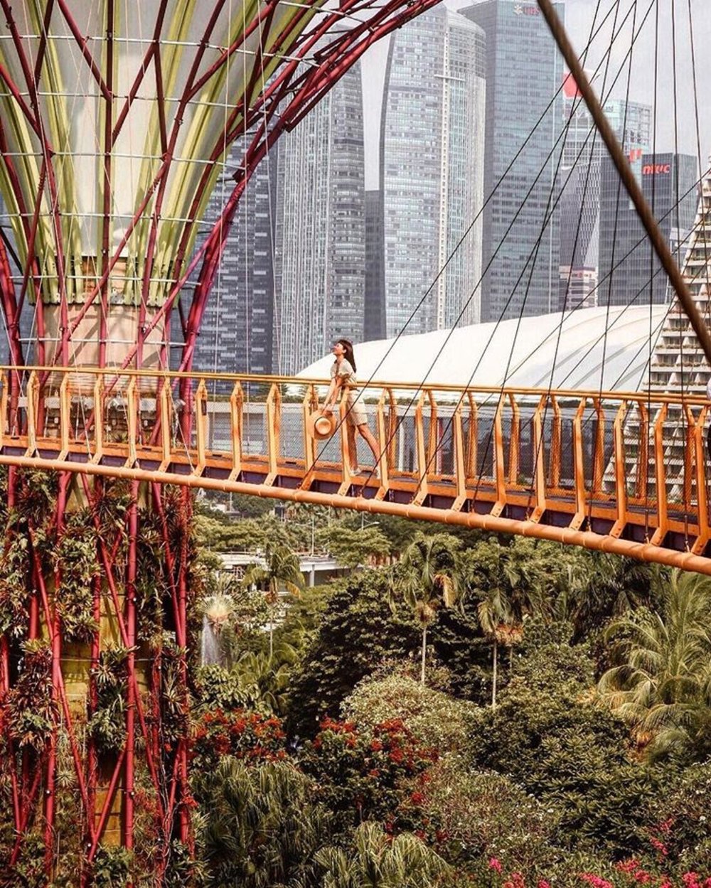 things to do in singapore gardens by the bay