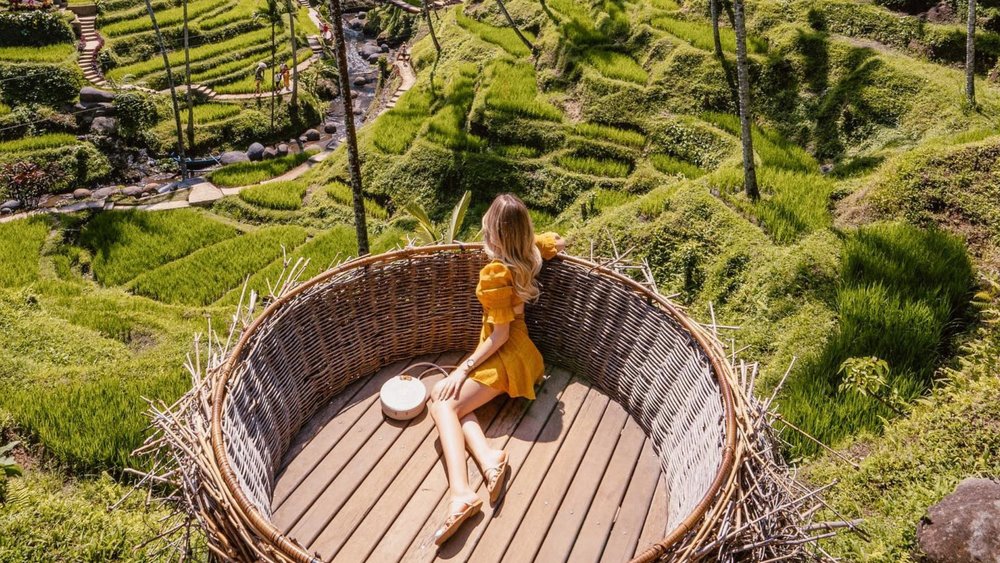 Besides the view of the rice terraces, there are plenty of activities to try like cycling and caving at Alas Harum. Credit: angelina