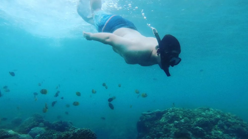 Find Nemo and the gang while swimming in Crystal Bay's clear and gentle waters. Credits: @nickeloyahya on Instagram