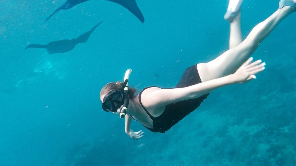 Spot a squadron of Manta Rays at Manta Point! Credits: @yanachesn on Instagram