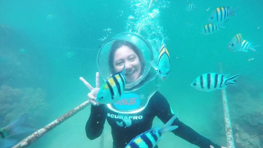 Get up close with fish of all shapes and sizes like these sergeant majors when you go snorkelling. Credit: diananvt_127