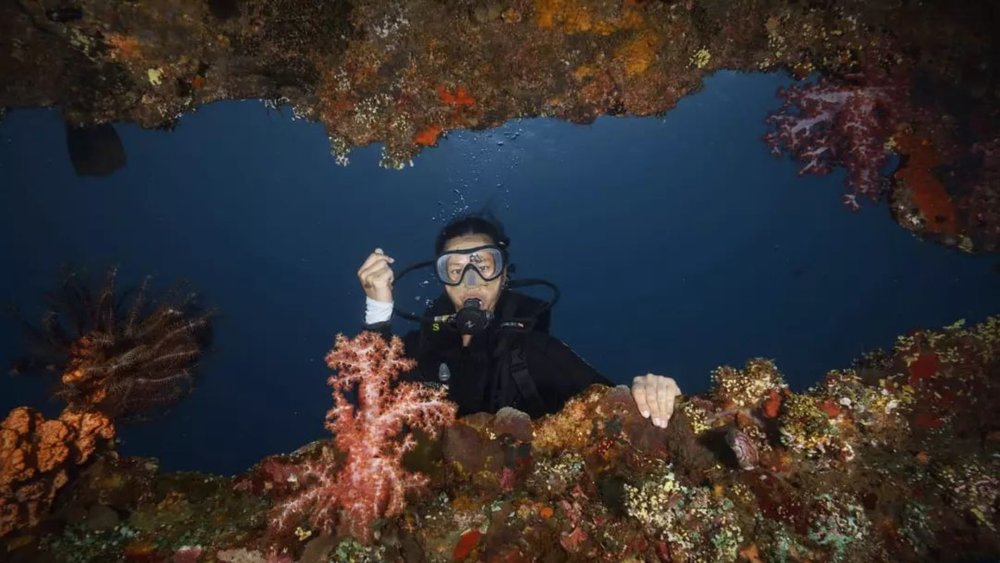 After seeing fish and a Japanese ship, it’s time to view an American cargo ship underwater. Credit:ika_hi