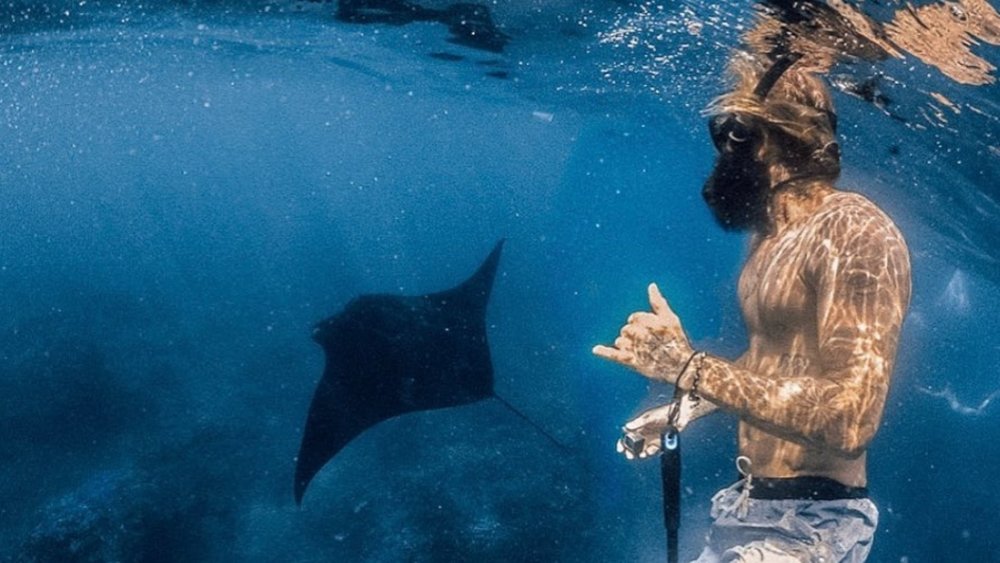 Head to Nusa Lembongan to spot some manta rays during your snorkelling adventure. Credit: alexgillett