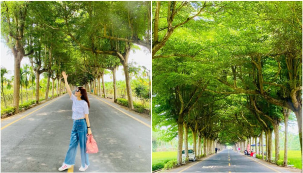 屏東景點：泗林健走步道