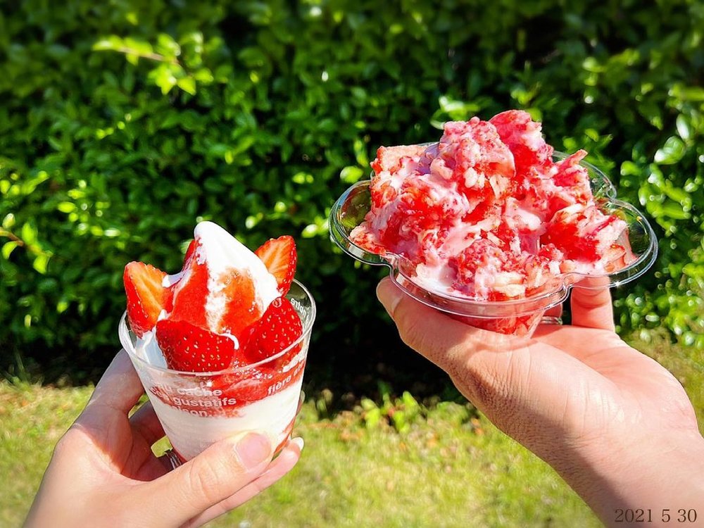 名古屋　東谷山フルーツパーク 二人でいちごのデザートを持っている