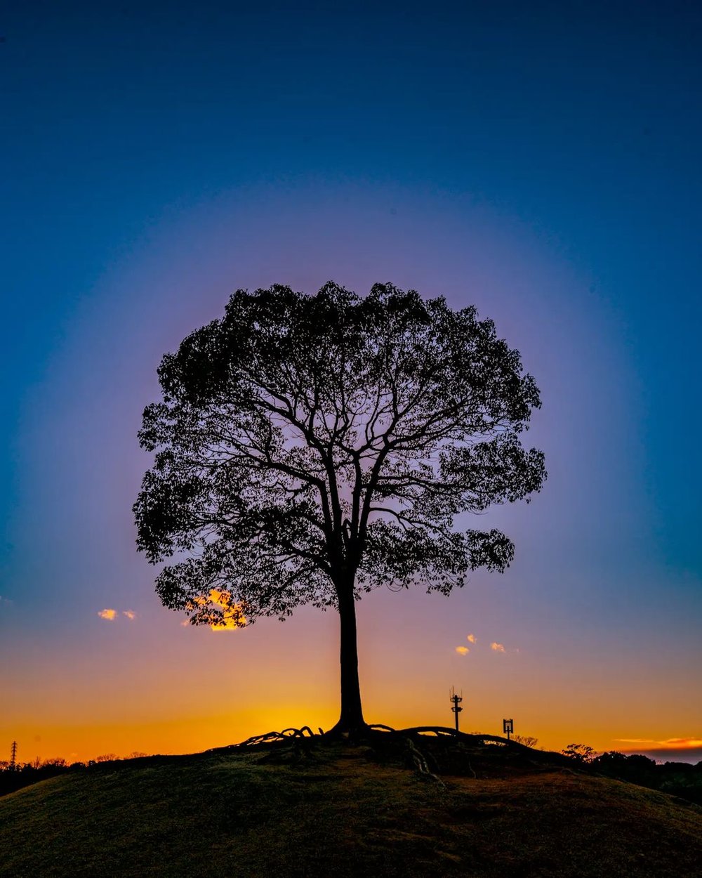 名古屋　遊ぶところ大高緑地