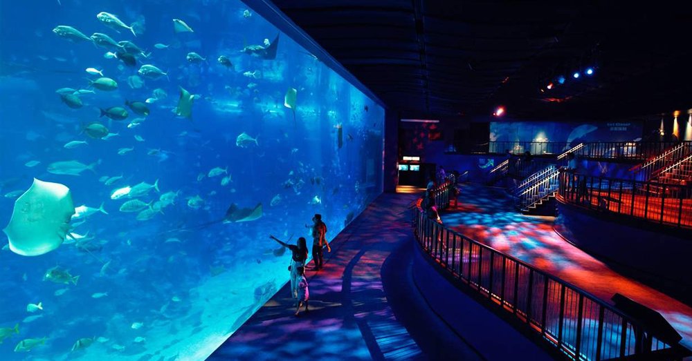 du-lich-dao-sentosa-singapore-tu-tuc