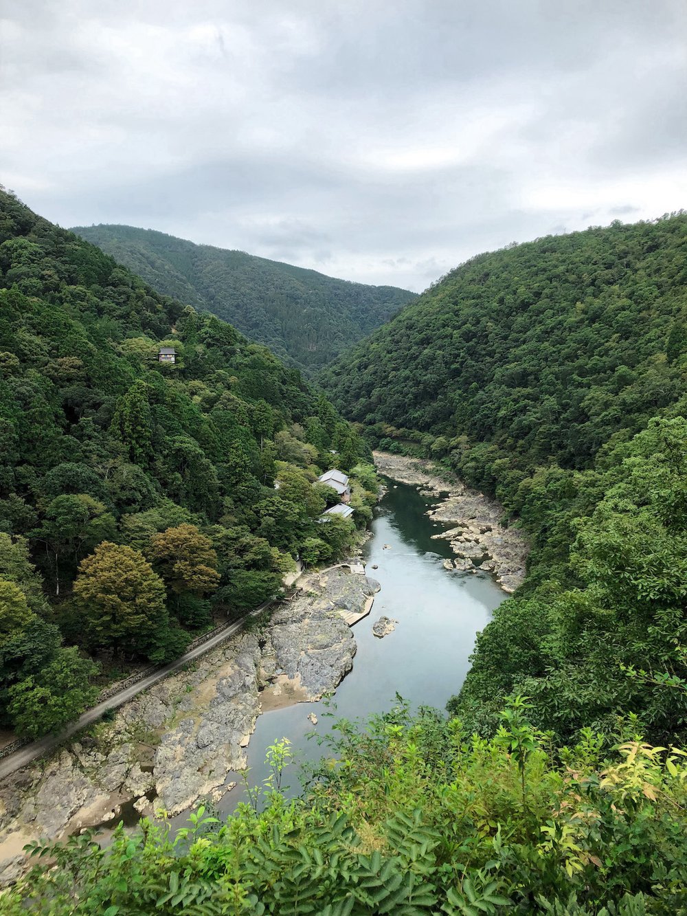 京都自由行｜京都嵐山 亀山公園
