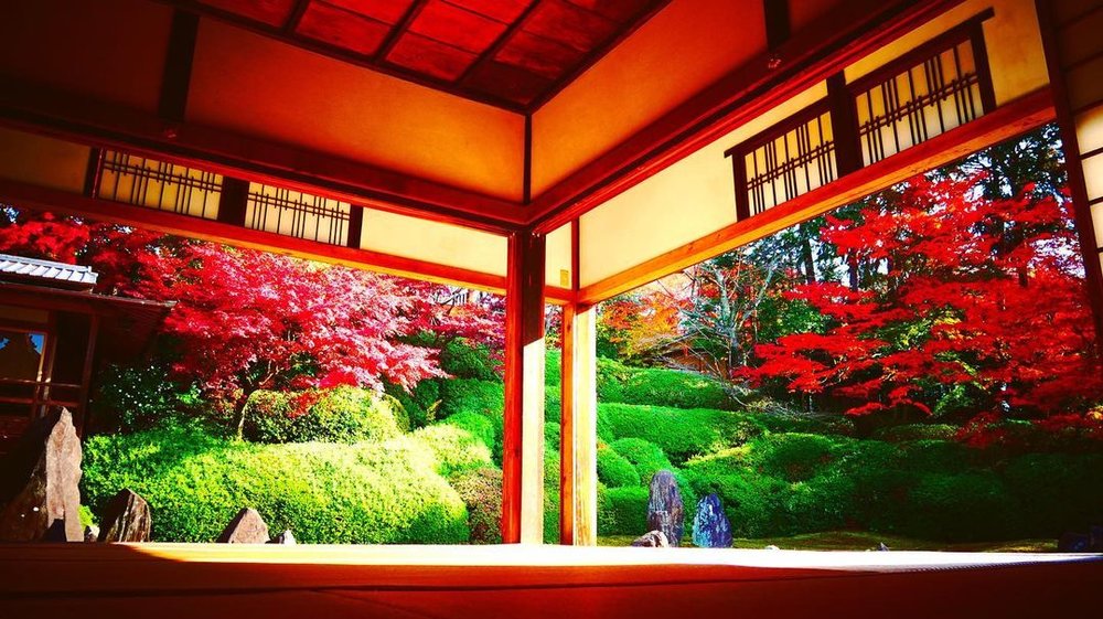 京都自由行｜光明院 波心庭