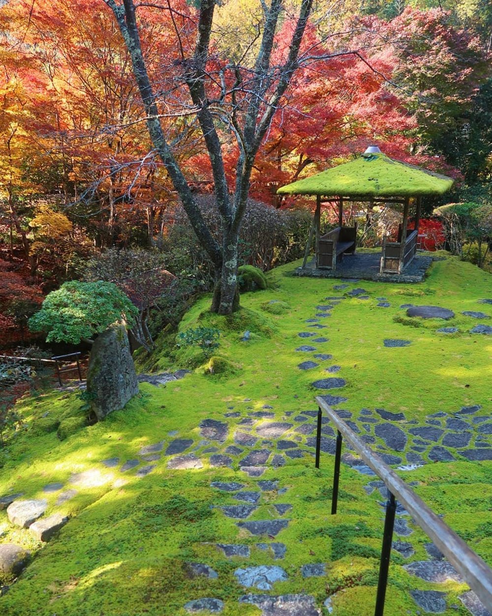 京都自由行｜京都白龍園 