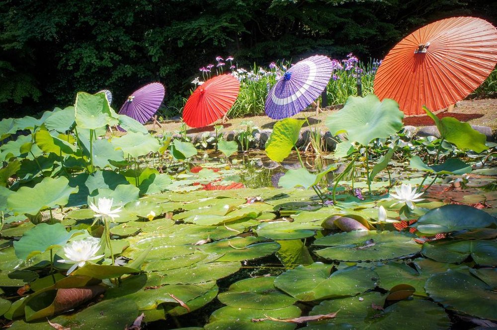 72341 徳川美術館のお隣の徳川園
