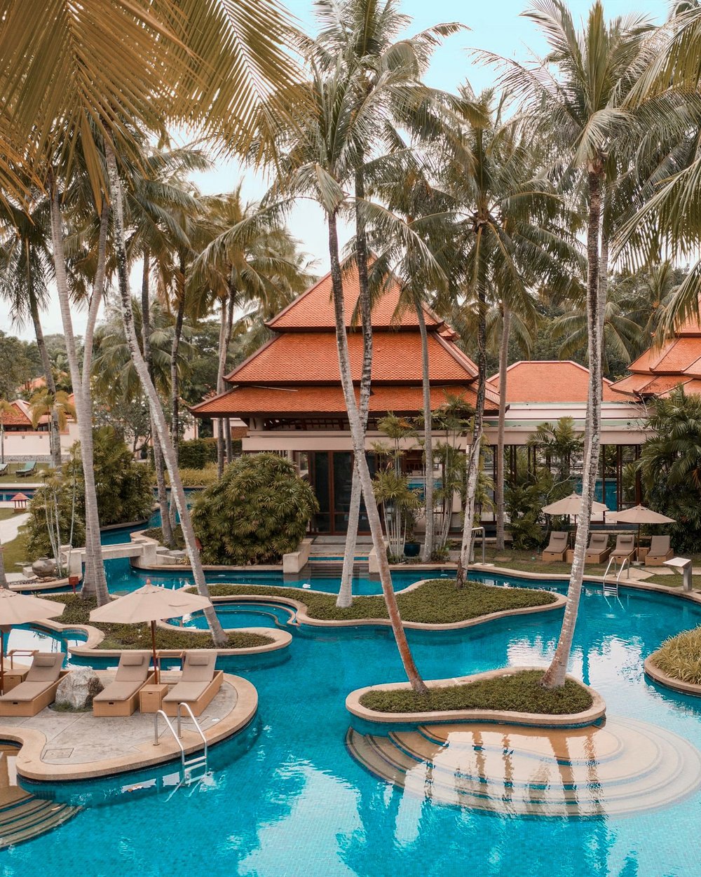 Pool surrounded by coconut trees