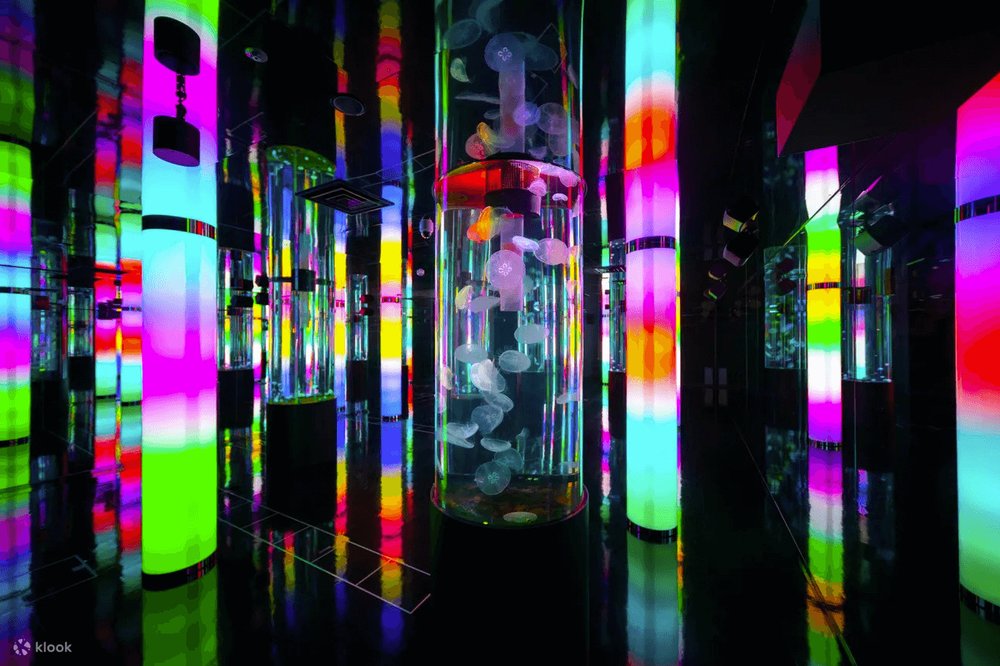 55241 DMMかりゆし水族館の内装