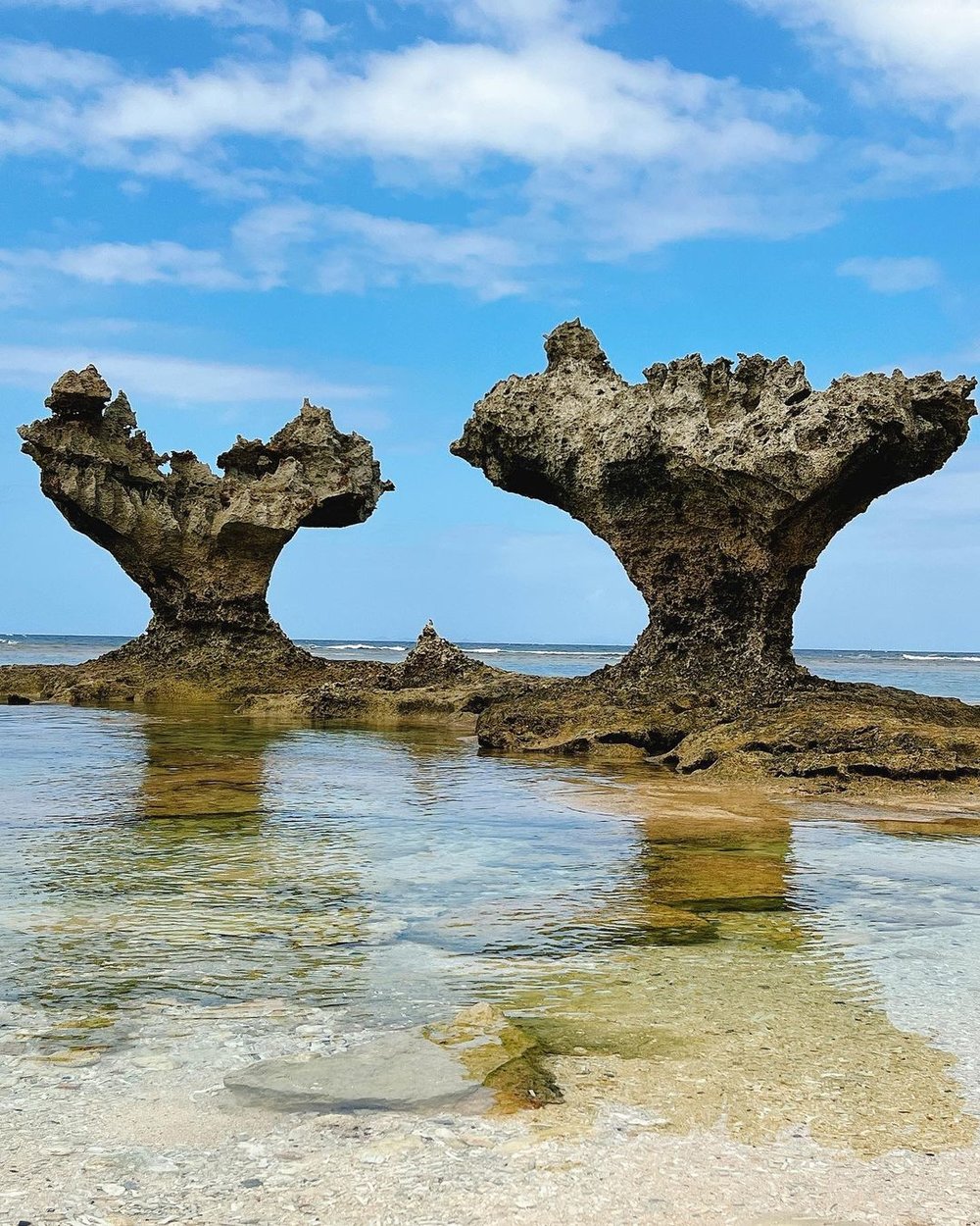 11998 沖縄ディナークルーズ体験の食事