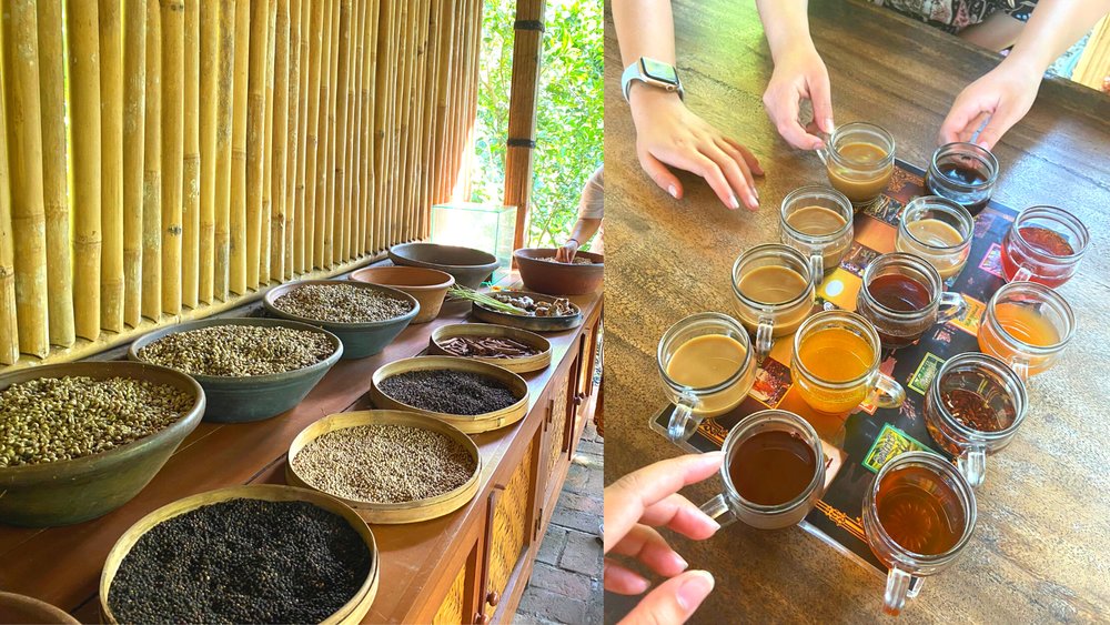 Sampling organic tea and coffees at Satria Coffee Plantation