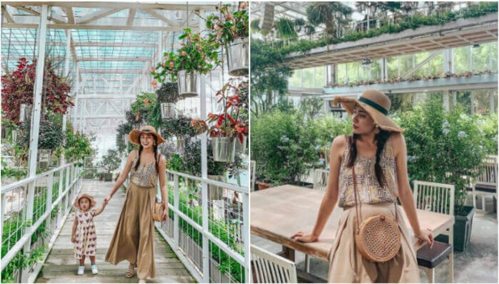 宜蘭親子景點：香草菲菲