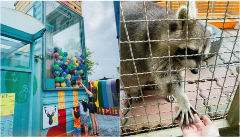 宜蘭親子景點:水鹿咖啡親子館 小動物