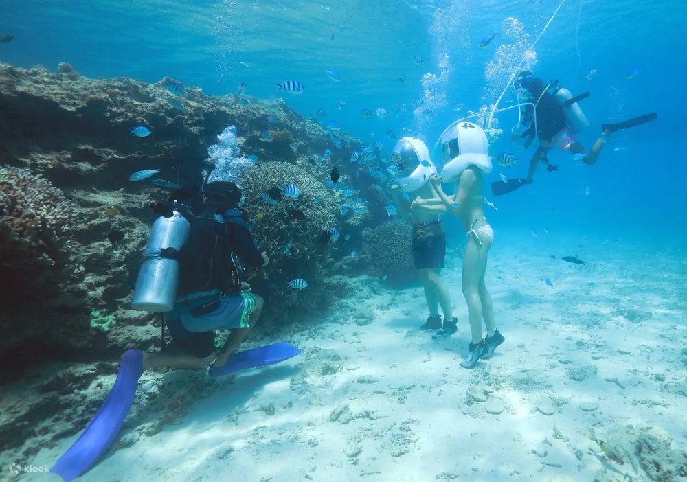 313 海中シーウォーク体験